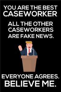 You Are The Best Caseworker All The Other Caseworkers Are Fake News. Everyone Agrees. Believe Me.