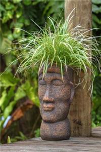 The Pot Head Journal (pothead)