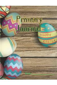 Primary Journal