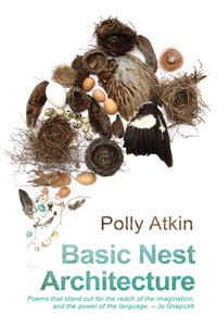 Basic Nest Architecture