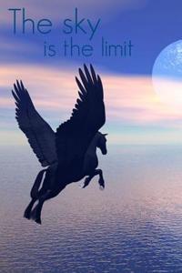 The Sky Is the Limit