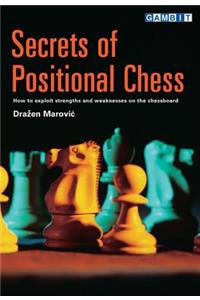 Secrets of Positional Chess