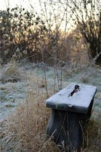 A Bench Covered in Morning frost Journal