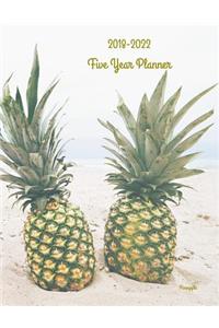 2018 - 2022 Pineapple Five Year Planner