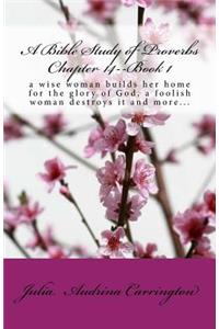 A Bible Study of Proverbs Chapter 14--Book 1