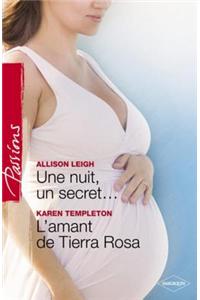 Une Nuit, Un Secret... - L'Amant de Tierra Rosa (Harlequin Passions)