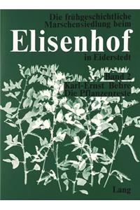 Die Pflanzenreste aus der fruehgeschichtlichen Wurt Elisenhof