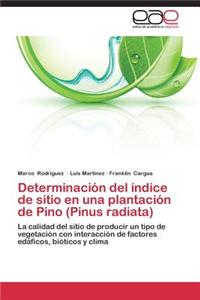 Determinación del índice de sitio en una plantación de Pino (Pinus radiata)