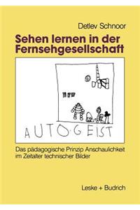 Sehen lernen in der Fernsehgesellschaft