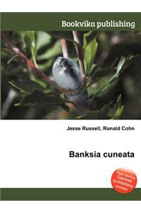 Banksia Cuneata