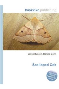 Scalloped Oak
