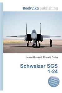 Schweizer Sgs 1-24