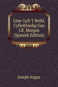 Llaw-Lyfr Y Beibl, Cyfieithiedig Gan J.R. Morgan (Spanish Edition)