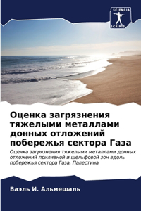 Оценка загрязнения тяжелыми металлами д