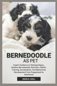 Bernedoodle as Pet
