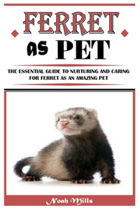 Ferret as Pet