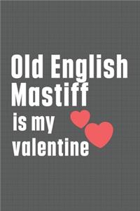 Old English Mastiff is my valentine
