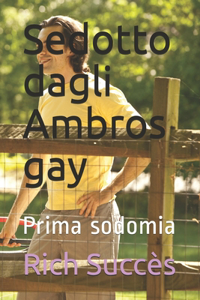 sedotto dagli Ambros gay