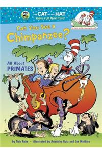 Can You See a Chimpanzee?: All about Primates