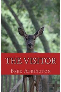 Visitor