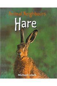 Animal Neighbours: Hare