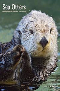 Sea Otters 2020 Wall