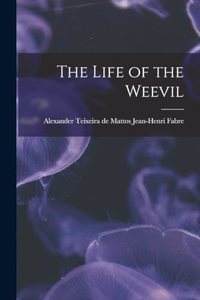 Life of the Weevil