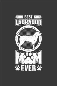 Best Labrador Mom Ever