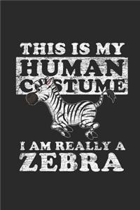 Zebra - This Is My Human Costume