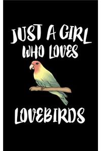 Just A Girl Who Loves Lovebirds