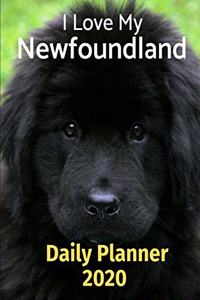I Love My Newfoundland