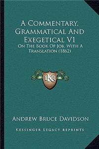 Commentary, Grammatical and Exegetical V1