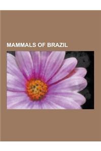 Mammals of Brazil