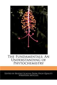 The Fundamentals