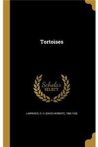 Tortoises