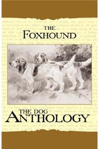 Foxhound & Harrier - A Dog Anthology (A Vintage Dog Books Breed Classic)