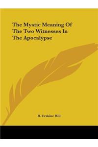 Mystic Meaning Of The Two Witnesses In The Apocalypse