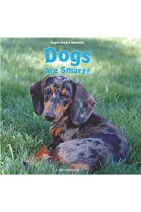 Dogs Are Smart!