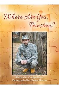 Where Are You, Feinstein?