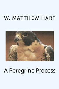 Peregrine Process