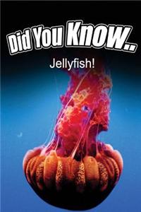 Jellyfish
