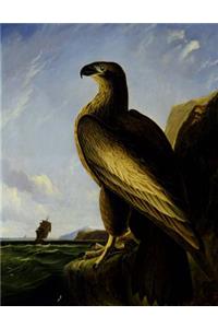 Washington Sea Eagle, John James Audubon. Ruled Journal