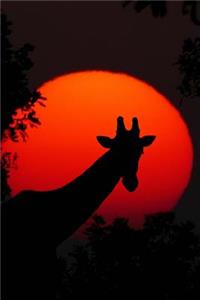 Giraffe Silhouetted Against an African Sunset Journal