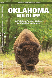 Oklahoma Wildlife