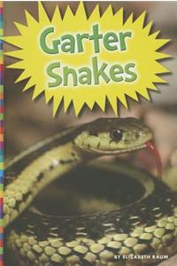 Garter Snakes