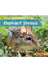 Elephant Shrews