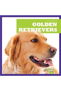 Golden Retrievers