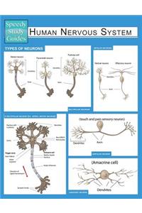 Human Nervous System (Speedy Study Guide)