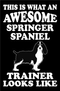 This is what an awesome Springer Spaniel Trainer Looks Like