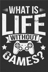What Is Life Without Games?